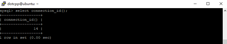connection_id()函数