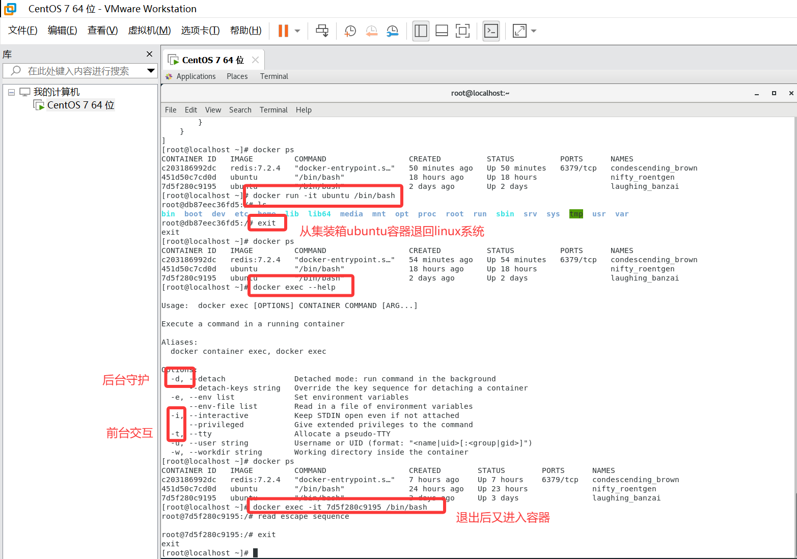 Docker演示之进入正在运行的容器并以命令行交互