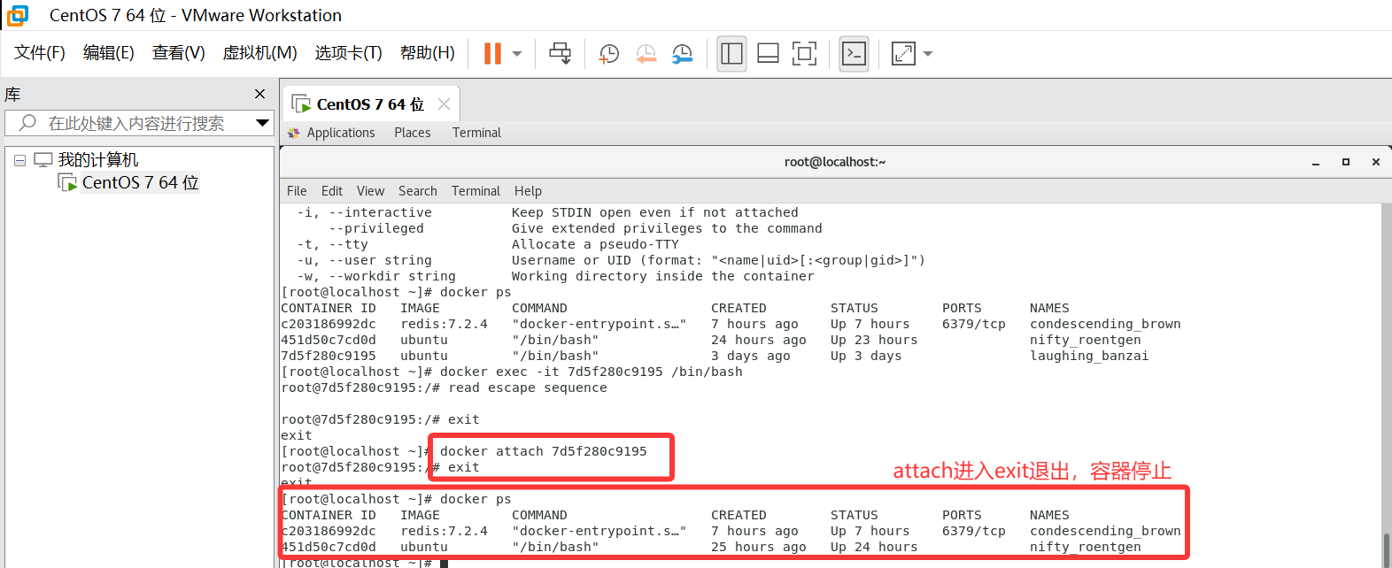 Docker演示之进入正在运行的容器并以命令行交互