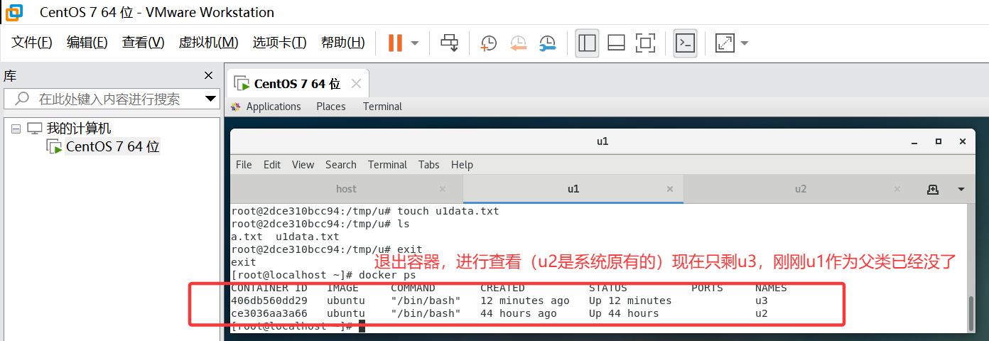 Docker 卷的继承和共享
