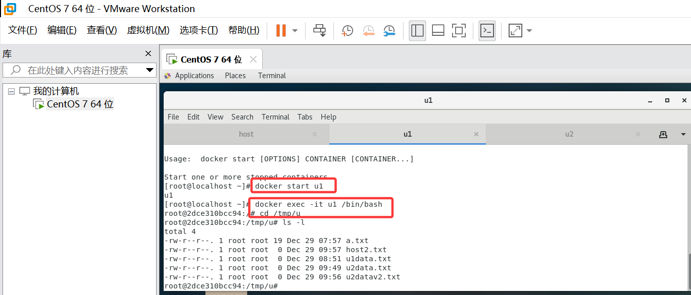 Docker 卷的继承和共享