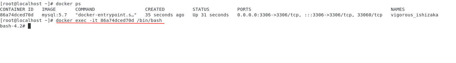 Docker 安装简单版MySQL