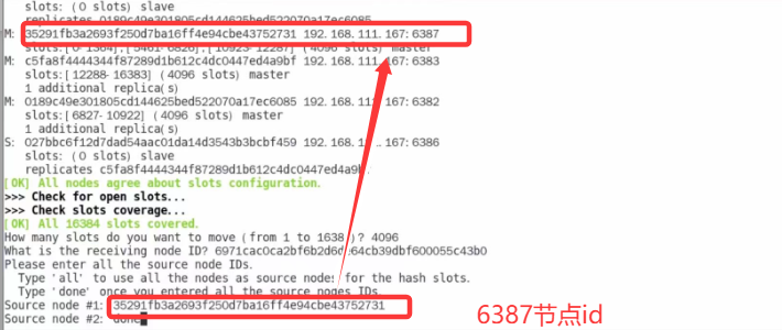  Docker Redis集群缩容步骤图文详解