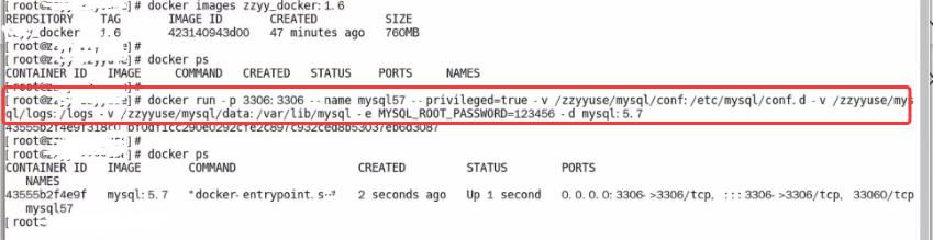 Docker手动编排MySQL+Redis+微服务图文详解（免Compose）