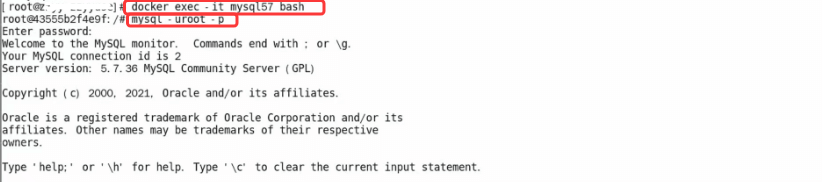 Docker手动编排MySQL+Redis+微服务图文详解（免Compose）