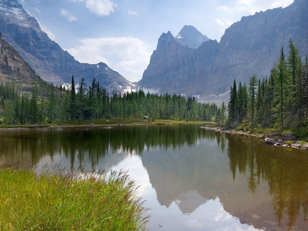 风景 风景