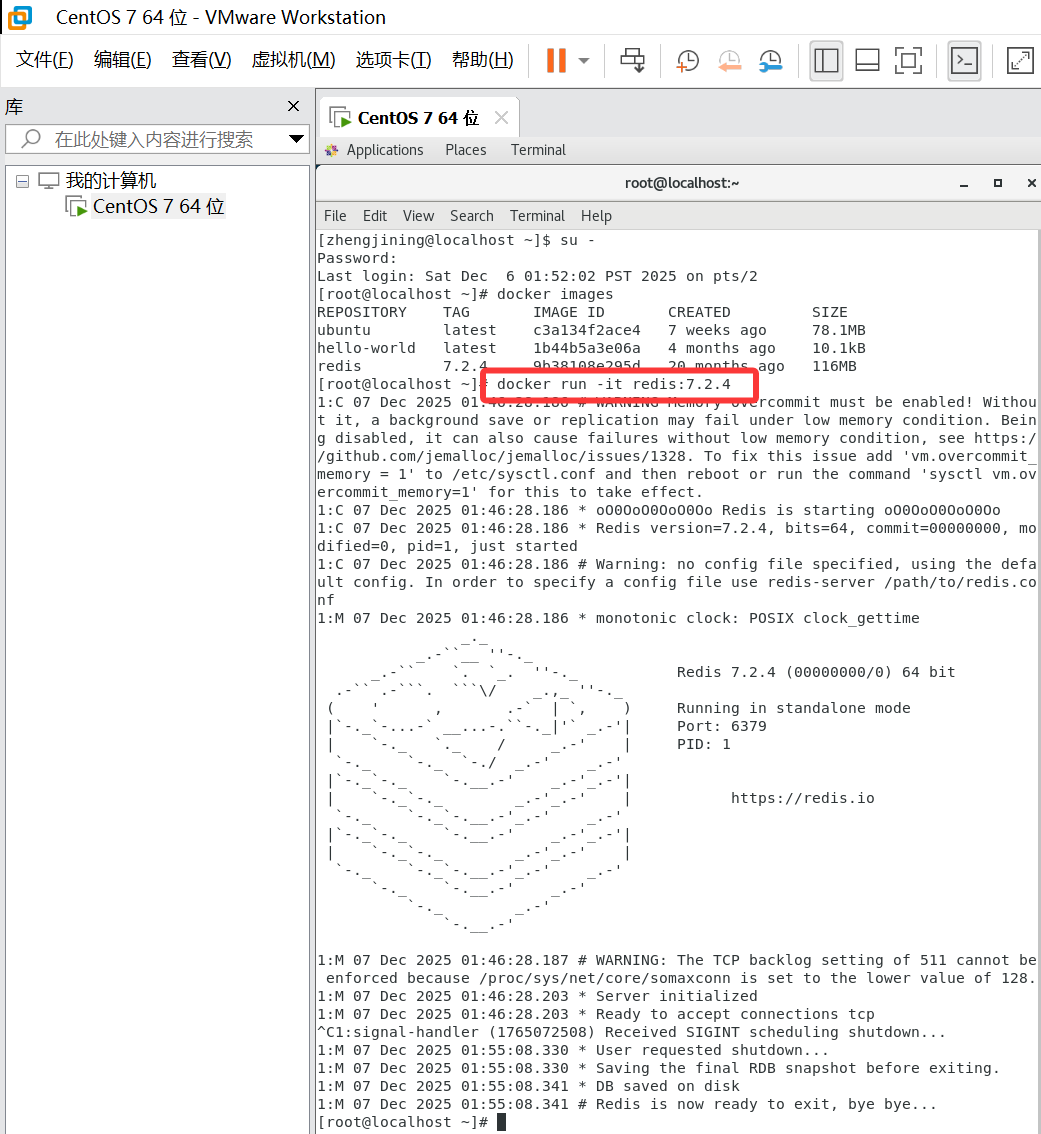 Docker演示之启动守护式容器