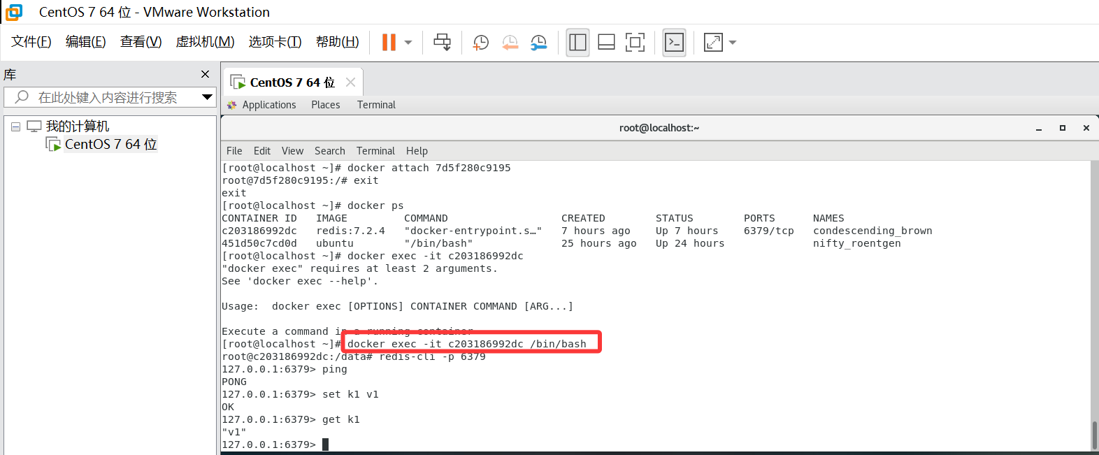 Docker演示之进入正在运行的容器并以命令行交互