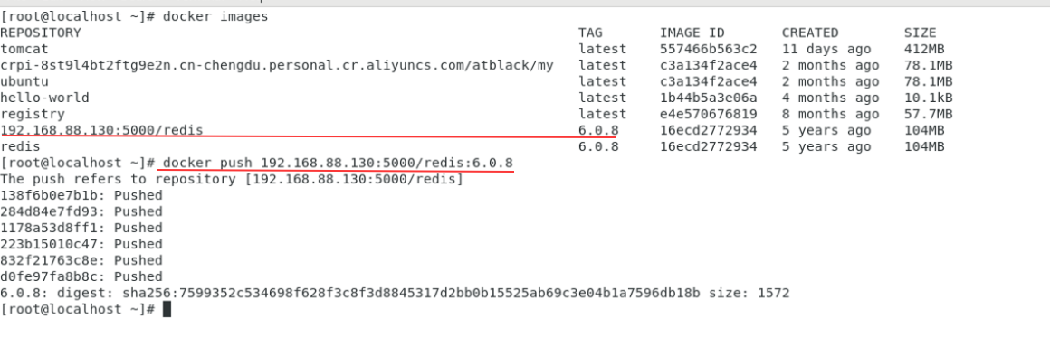 Docker 新镜像推送私有库
