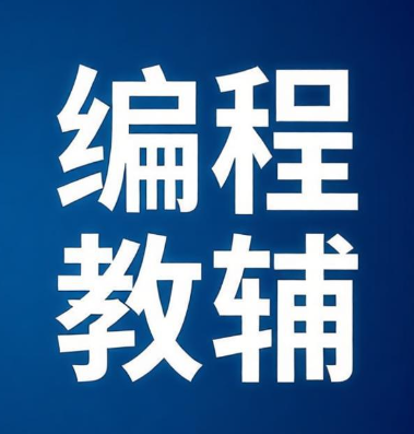 编程教辅指南